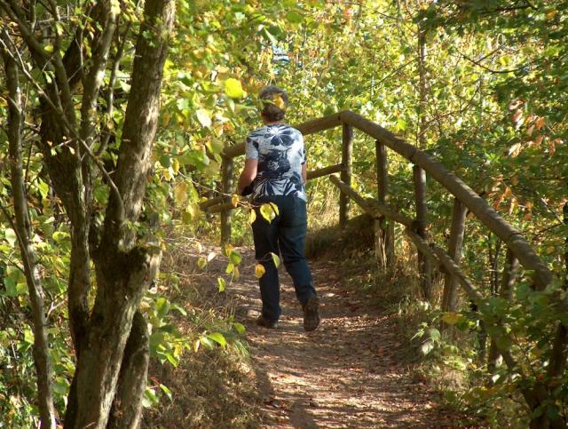 Photos for house 642509