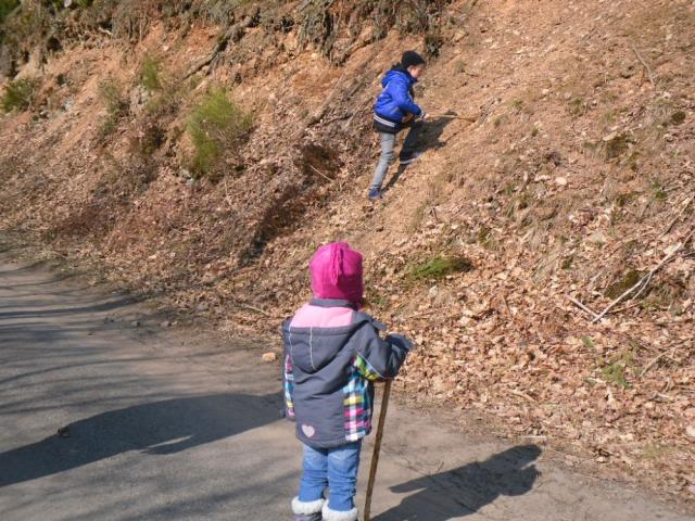 Photos for house 642509