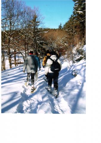 Photos for house 642509