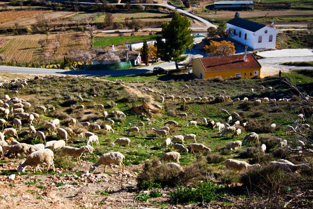 Photos for house 642522