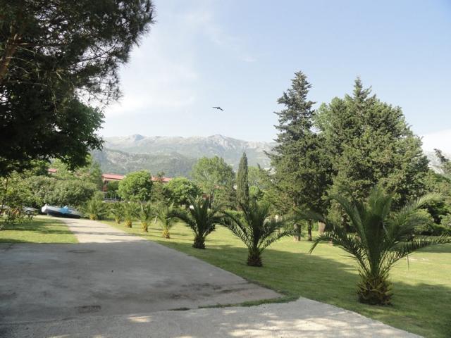 Photos for house 642535