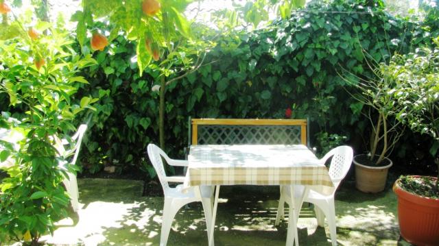 Photos for house 642541