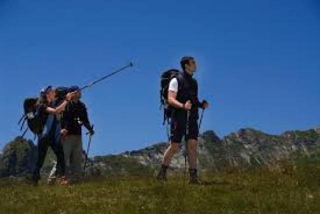 Photos for house 642541