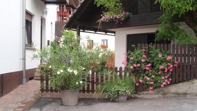 Photos for house 642570