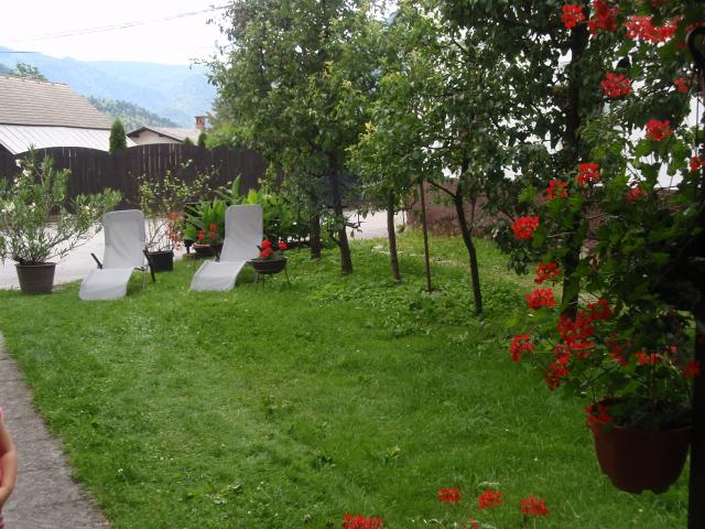 Photos for house 642576