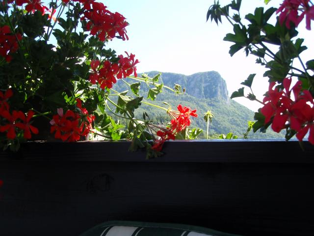 Photos for house 642576