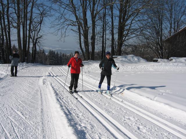 Photos for house 642577