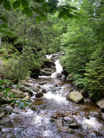 Photos for house 642577