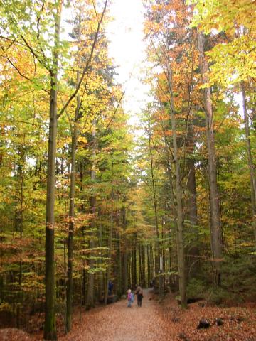 Photos for house 642577