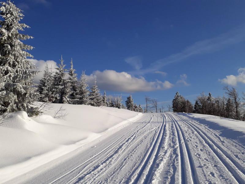 Photos for house 642577