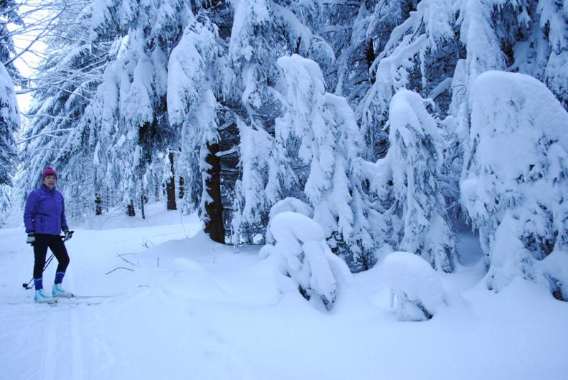 Photos for house 642577