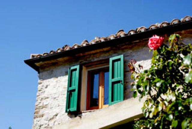 Photos for house 642599