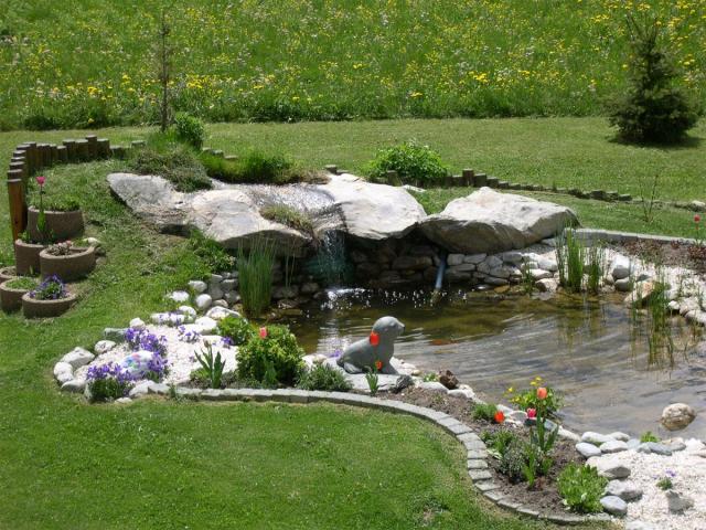 Photos for house 642617