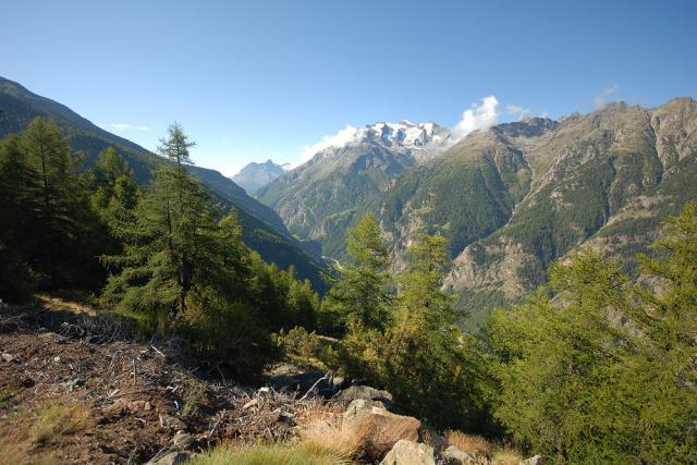 Photos for house 642617