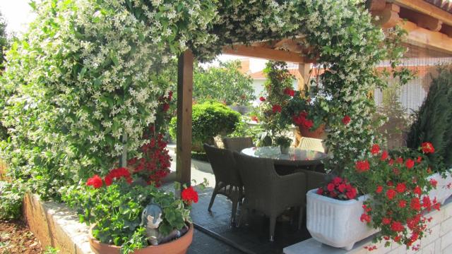 Photos for house 642621