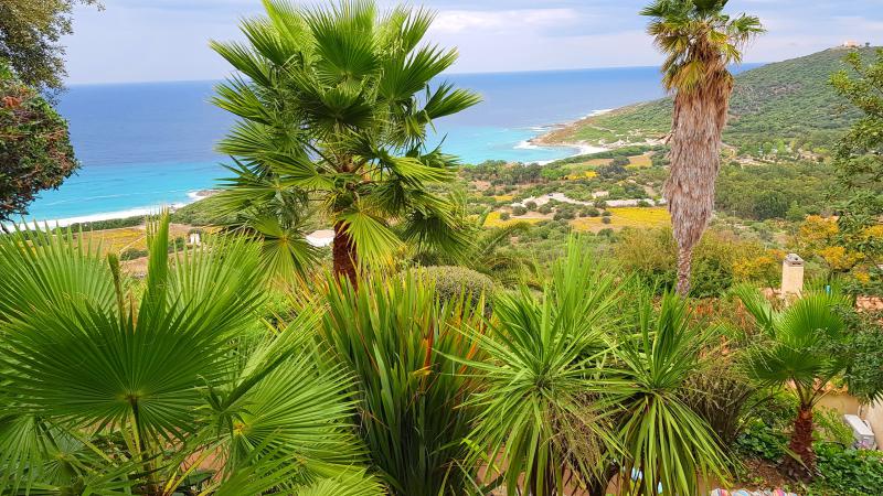 Photos for house 642627