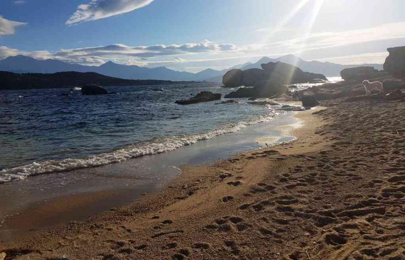 Photos for house 642627