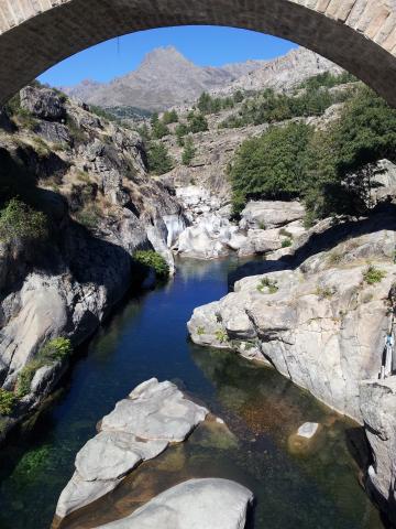 Photos for house 642627