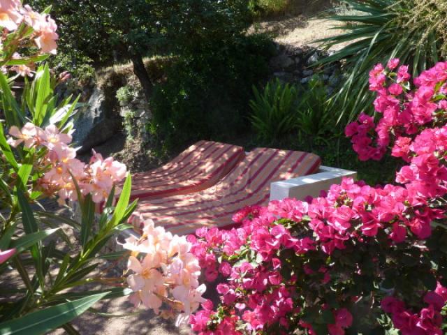 Photos for house 642627