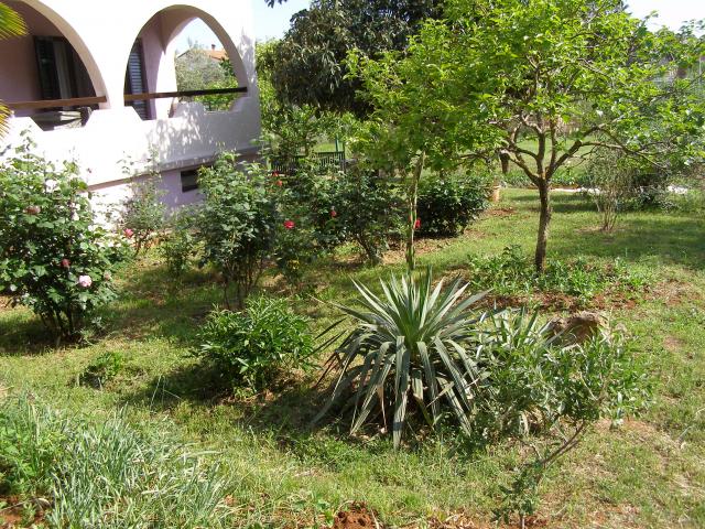 Photos for house 642633