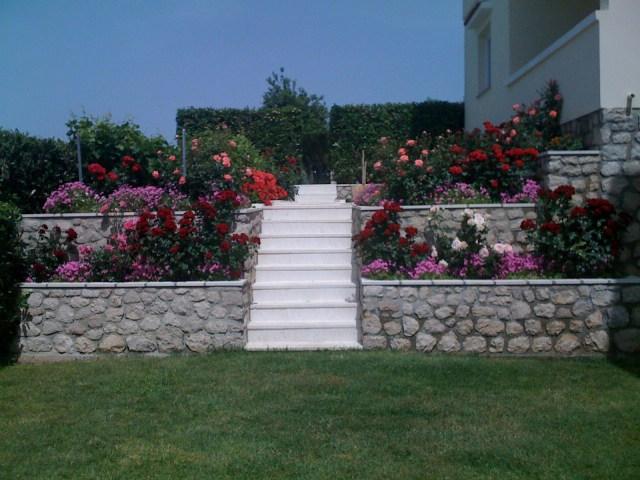 Photos for house 642635