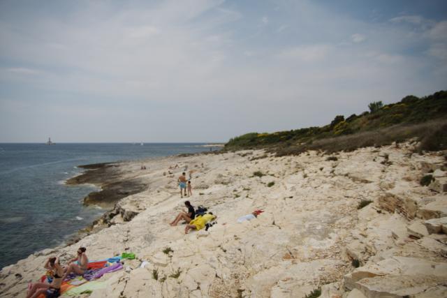 Photos for house 642642