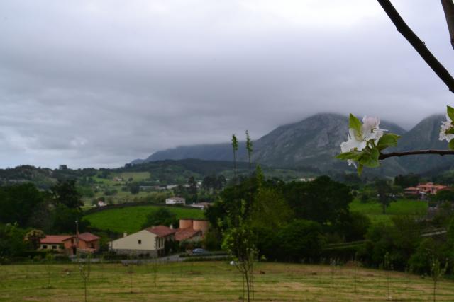 Photos for house 642647