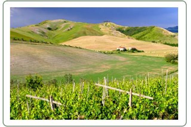 Photos for house 642656