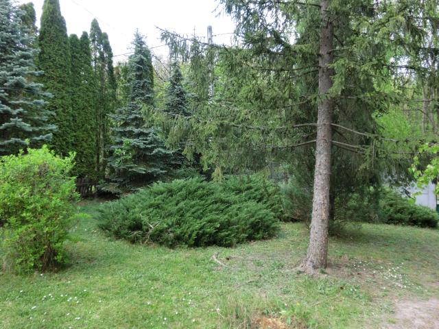 Photos for house 642672