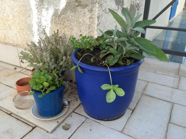 Photos for house 642674