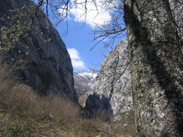 Photos for house 642698