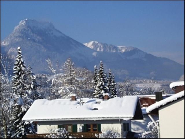 Photos for house 642701