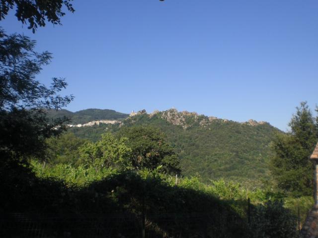 Photos for house 642702