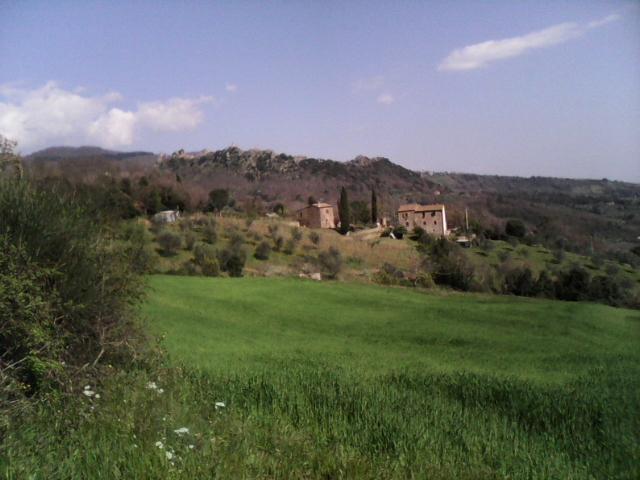 Photos for house 642702