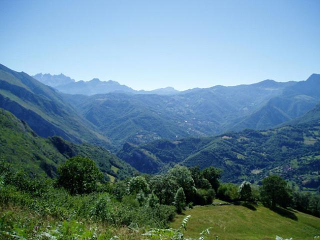 Photos for house 642706