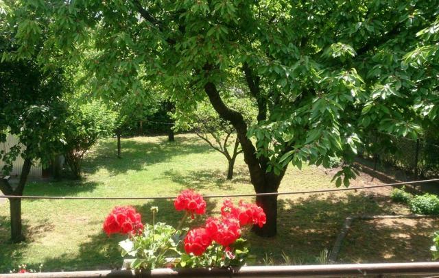 Photos for house 642720