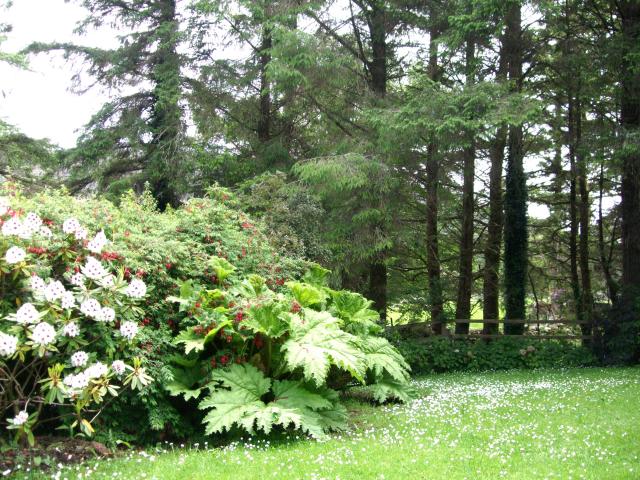 Photos for house 642727