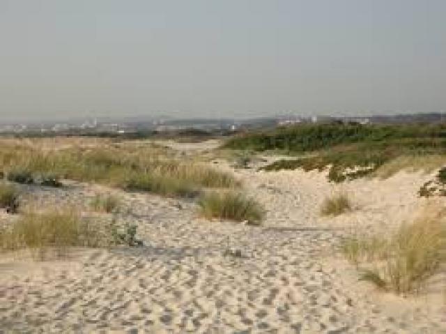 Photos for house 642738