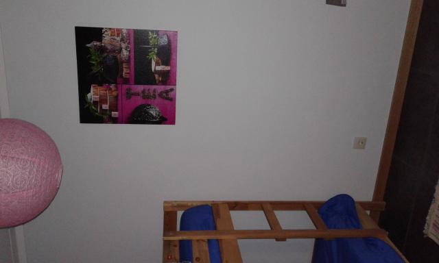 Photos for house 642738