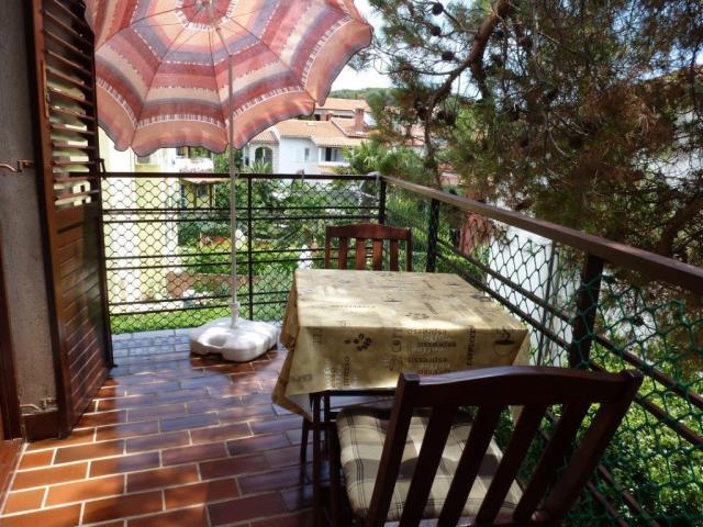 Photos for house 642756