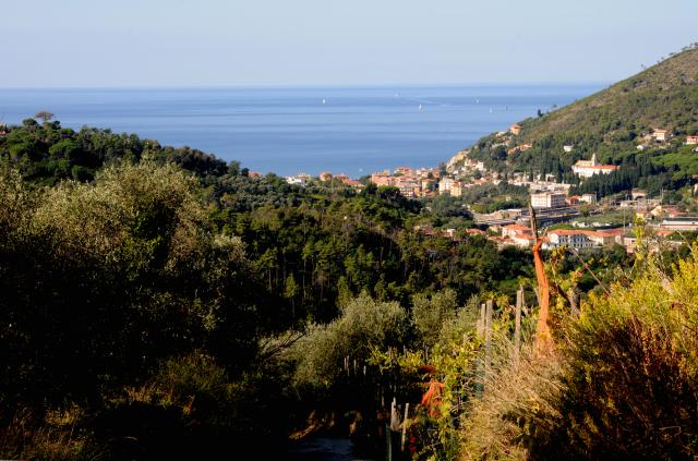 Photos for house 642771