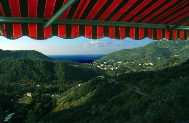 Photos for house 642771