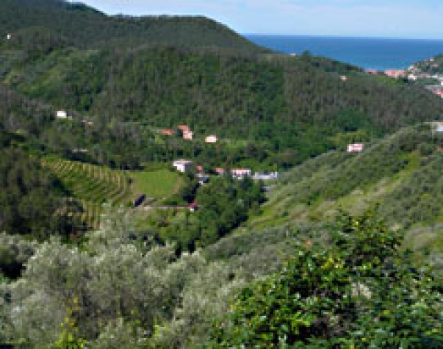 Photos for house 642771