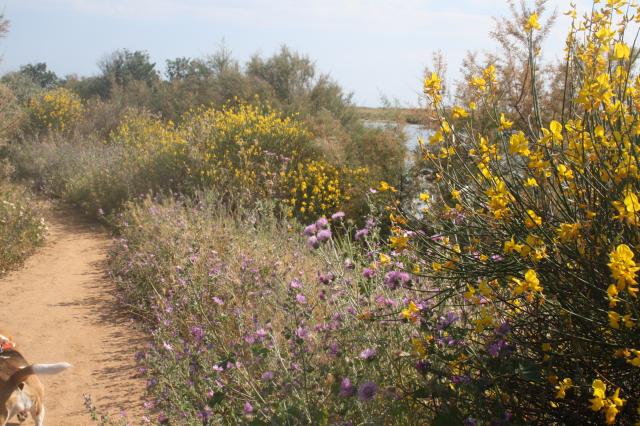 Photos for house 642778