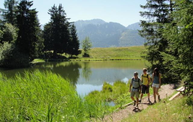 Photos for house 642781