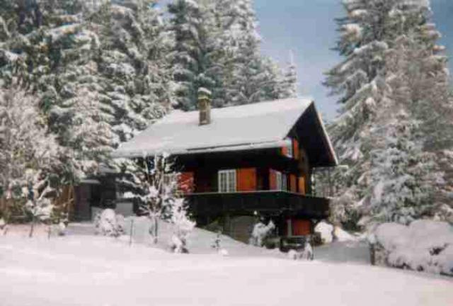 Photos for house 642781