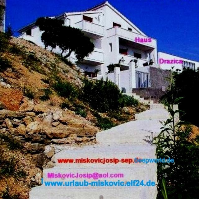 Photos for house 642785