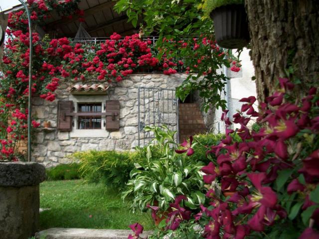 Photos for house 642802