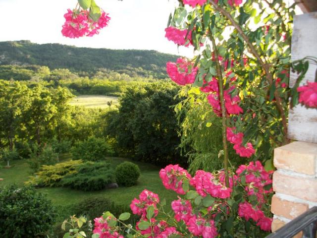 Photos for house 642802