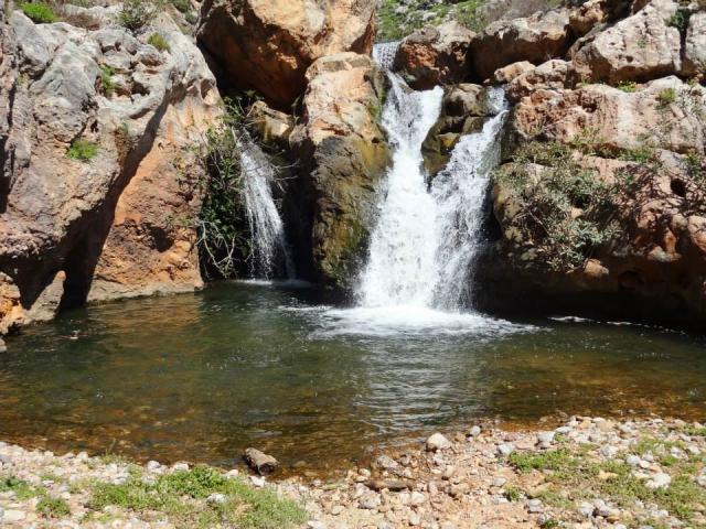 Photos for house 642804